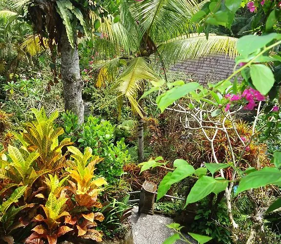 Gusti's Garden 4*