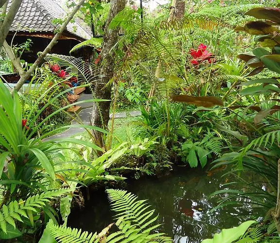 ゲストハウス Gusti's Garden