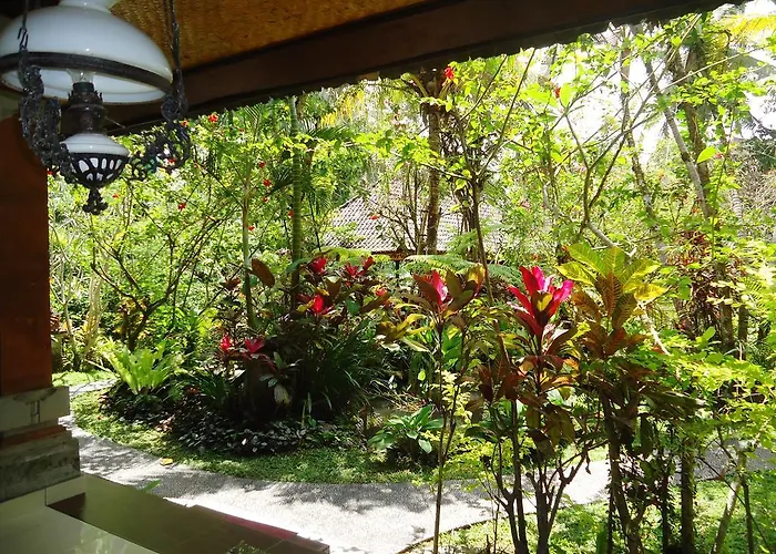 Gusti's Garden 4*