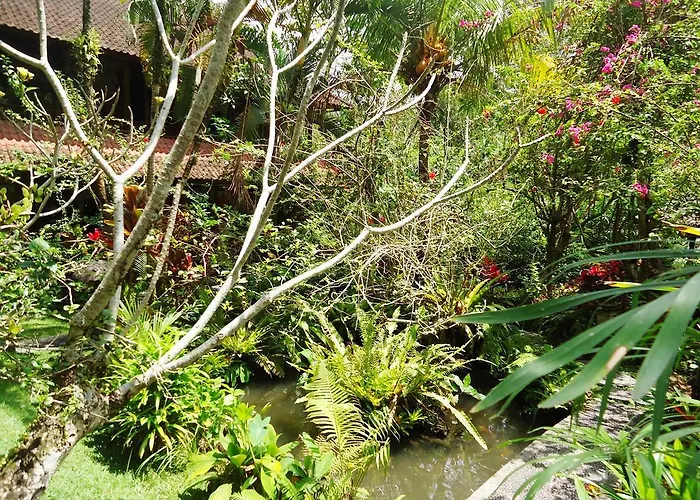 Gusti's Garden 4*