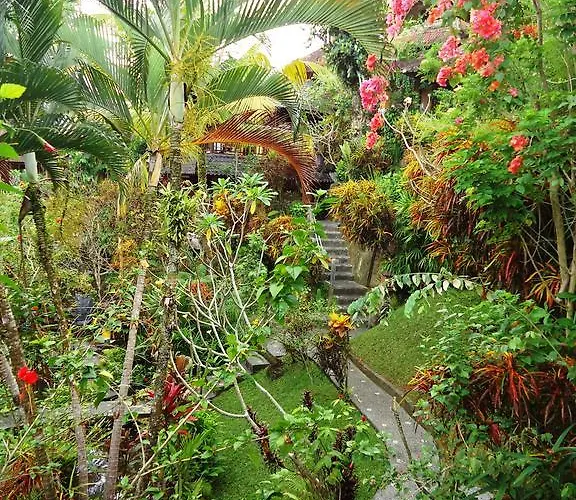 Gusti's Garden