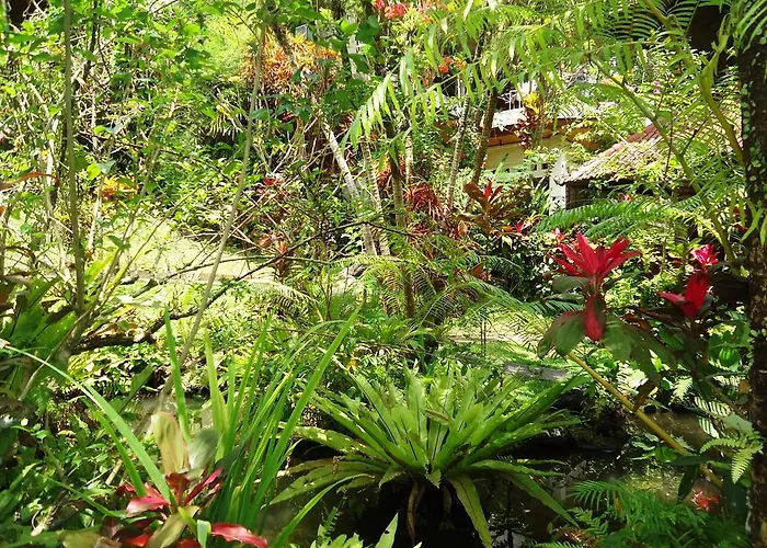 Gusti's Garden 4*