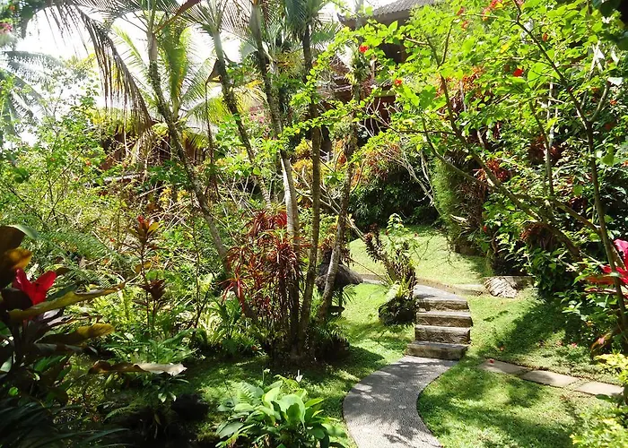 Gusti's Garden