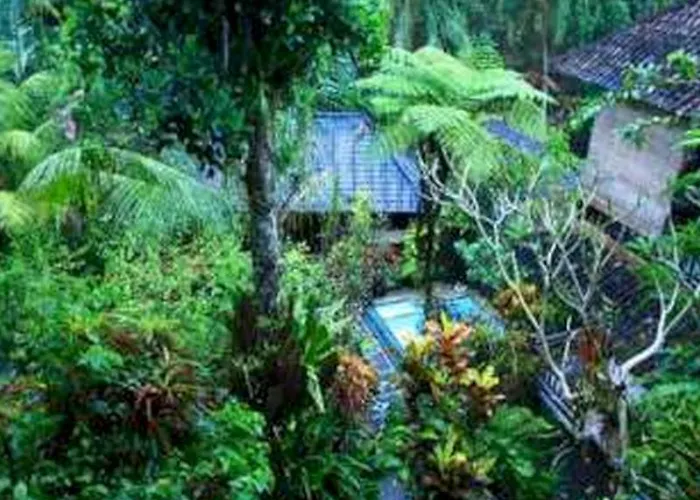 Gusti's Garden 4*